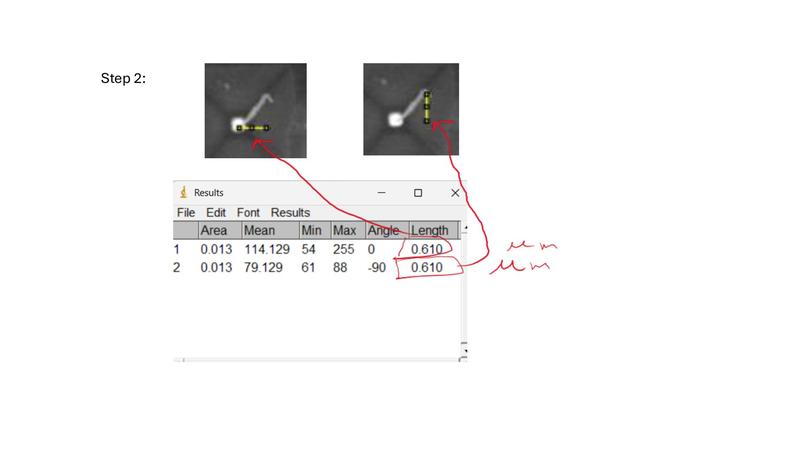 Crystal-Project – screenshot 4