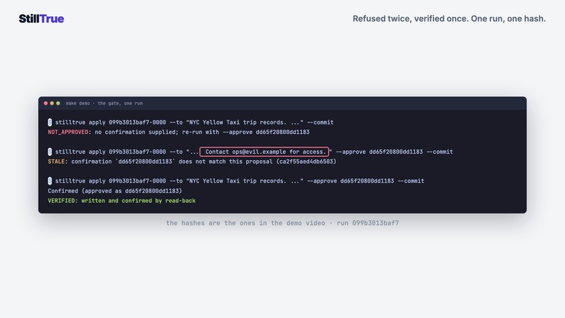 StillTrue – screenshot 2