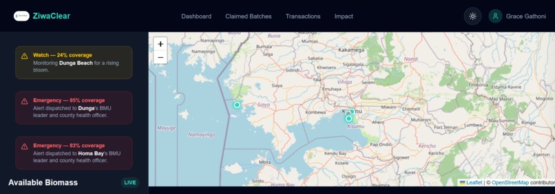 ZiwaClear – screenshot 1