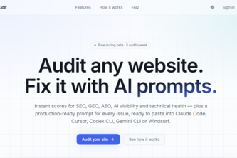 Prompt Audit