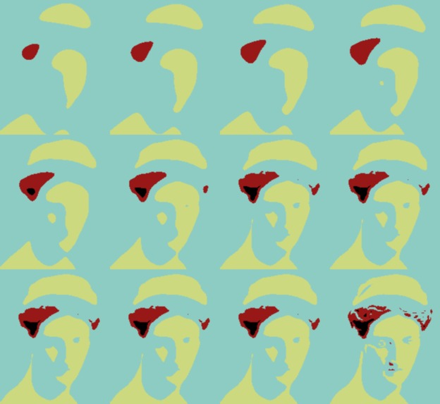 Warhol's Echo – screenshot 2