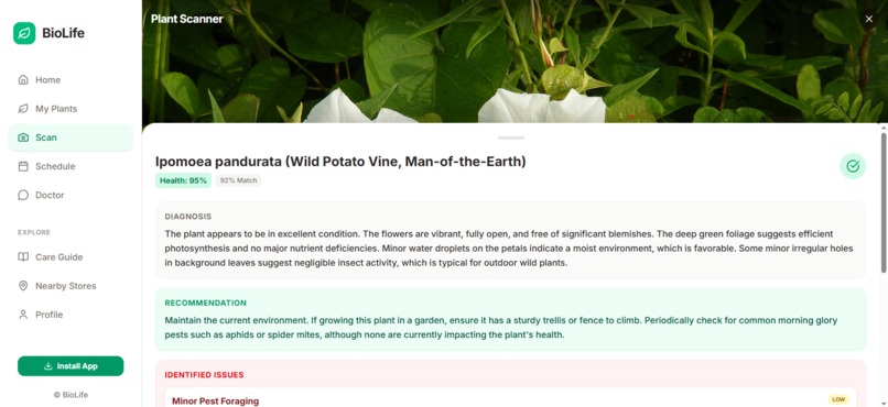 BioLife – screenshot 2