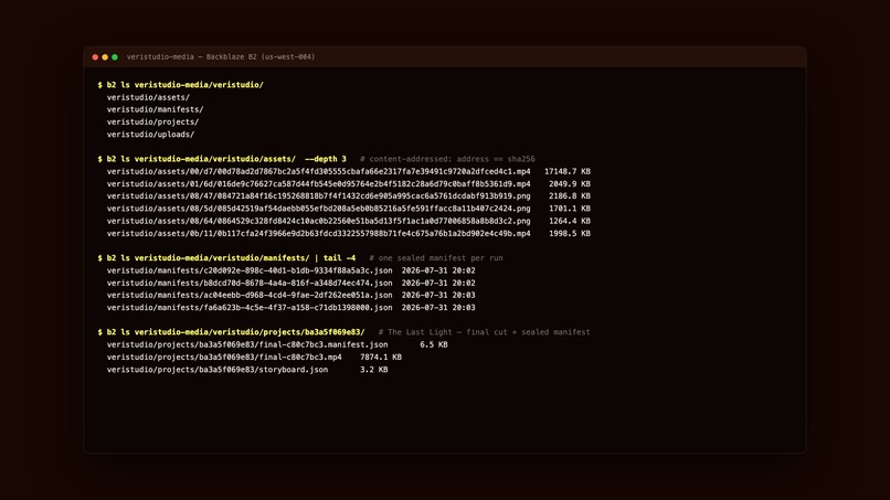 VeriStudio – screenshot 7