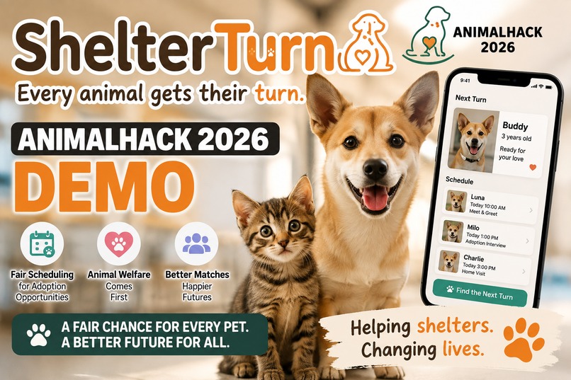 ShelterTurn – screenshot 1
