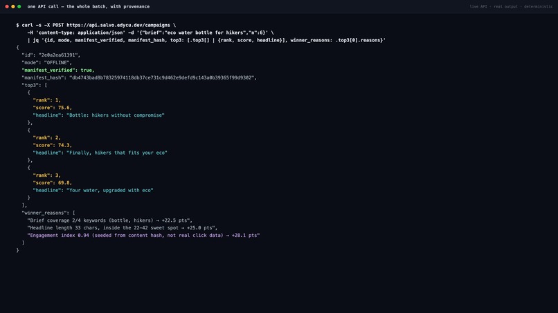 Salvo – screenshot 2