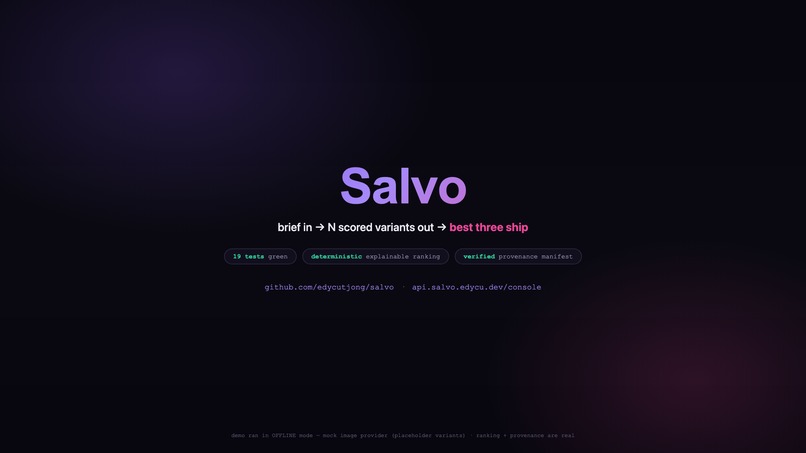 Salvo – screenshot 3