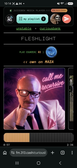 FM.313.cash – screenshot 3