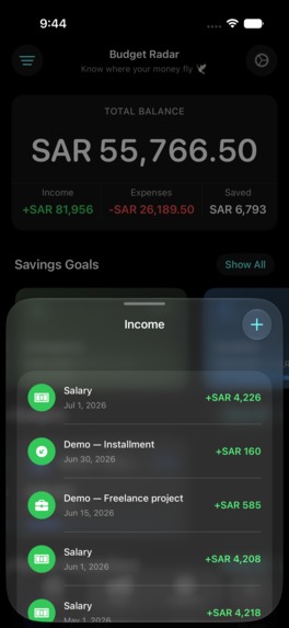 Budget Radar – screenshot 7