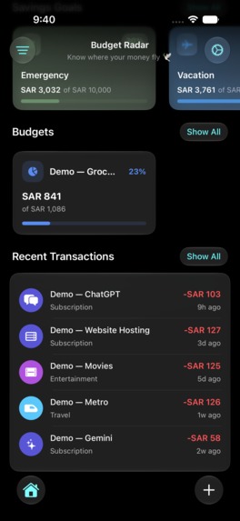 Budget Radar – screenshot 11