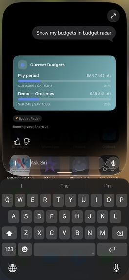 Budget Radar – screenshot 12