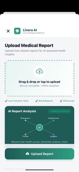 Livora AI – screenshot 4