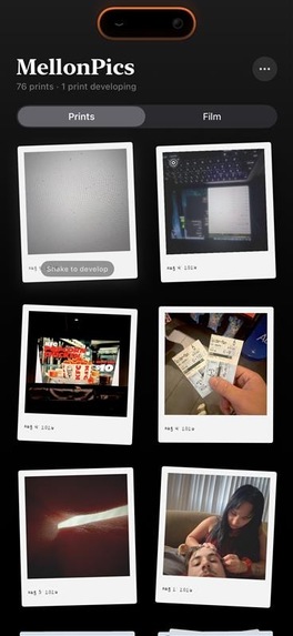 MellonPics – screenshot 3