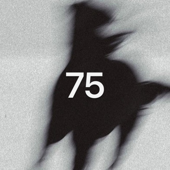 His 75 – screenshot 6