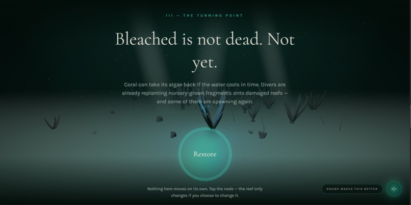 The Last Reef – screenshot 5