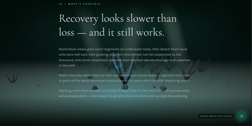 The Last Reef – screenshot 4