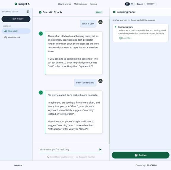 Insight AI – screenshot 2