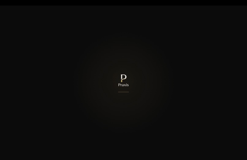 Praxis – screenshot 2