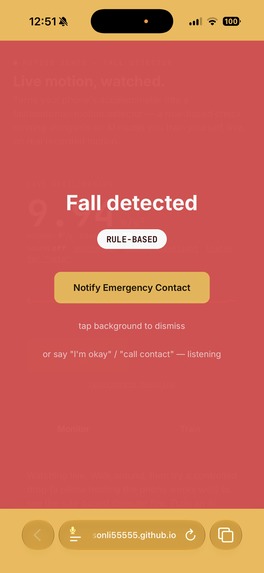 Fall Detector – screenshot 5