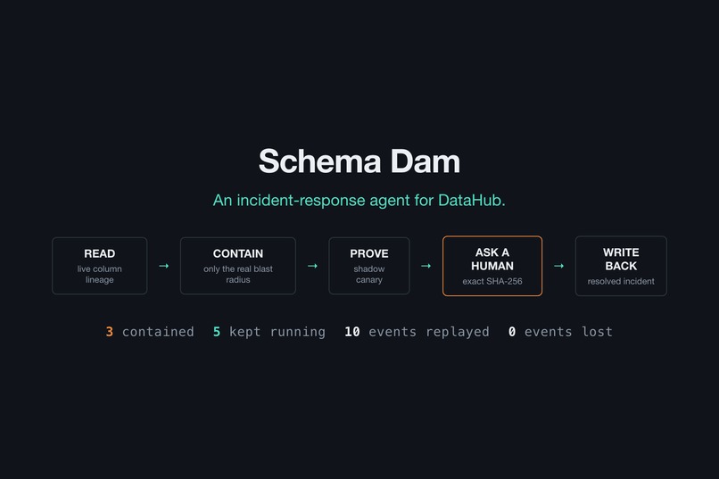 Schema Dam – screenshot 1