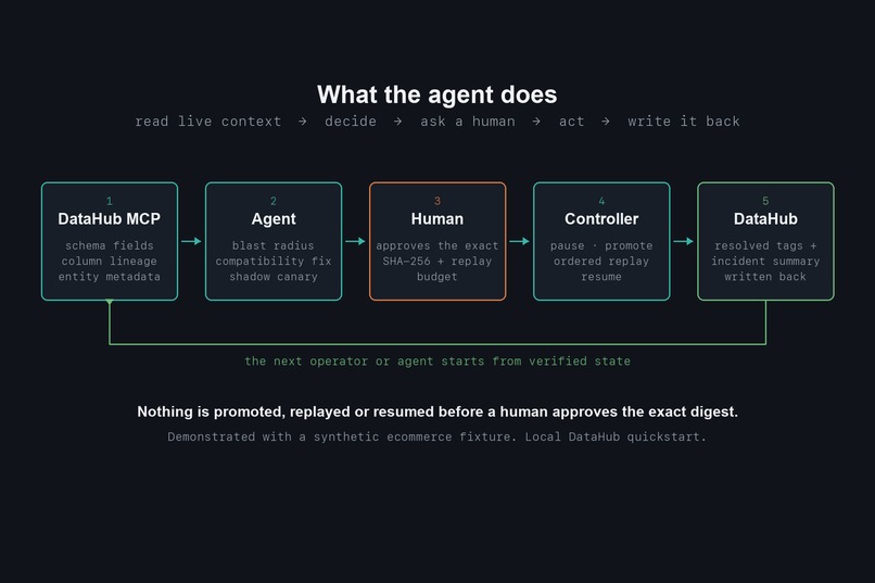 Schema Dam – screenshot 4