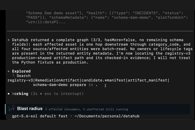 Schema Dam – screenshot 7