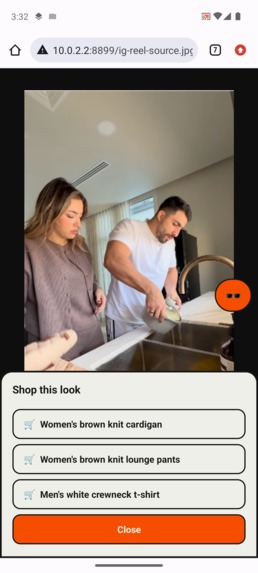 Steal the look – screenshot 3