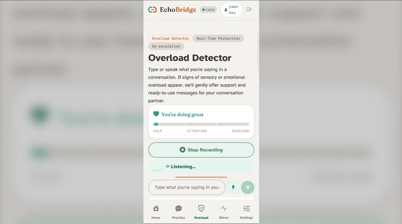 EchoBridge – screenshot 5