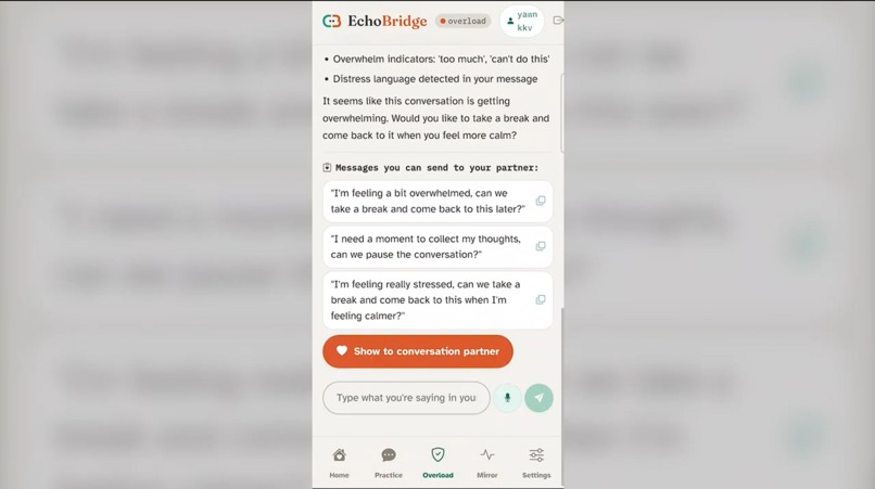 EchoBridge – screenshot 7