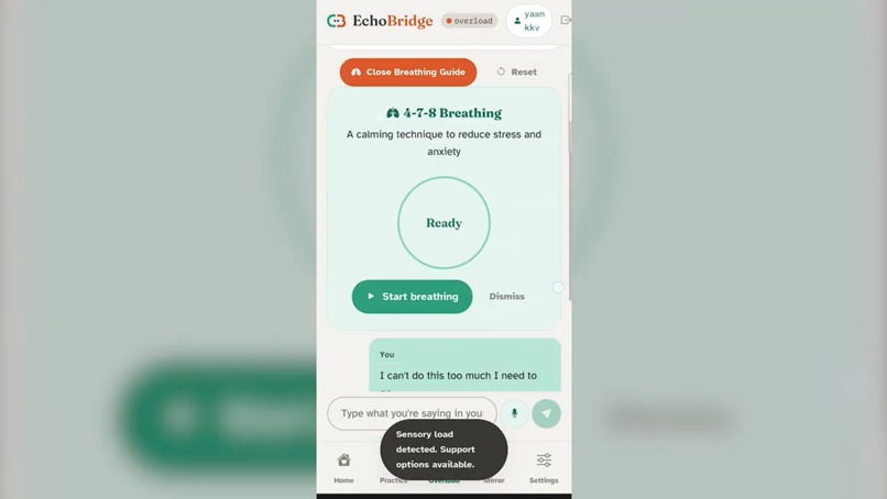 EchoBridge – screenshot 6