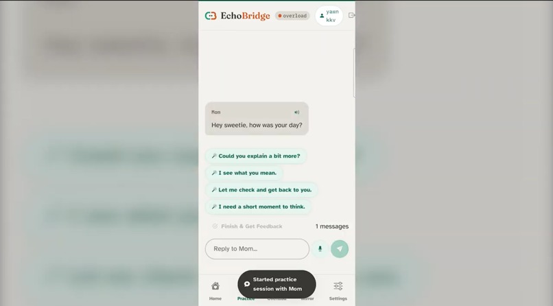 EchoBridge – screenshot 10