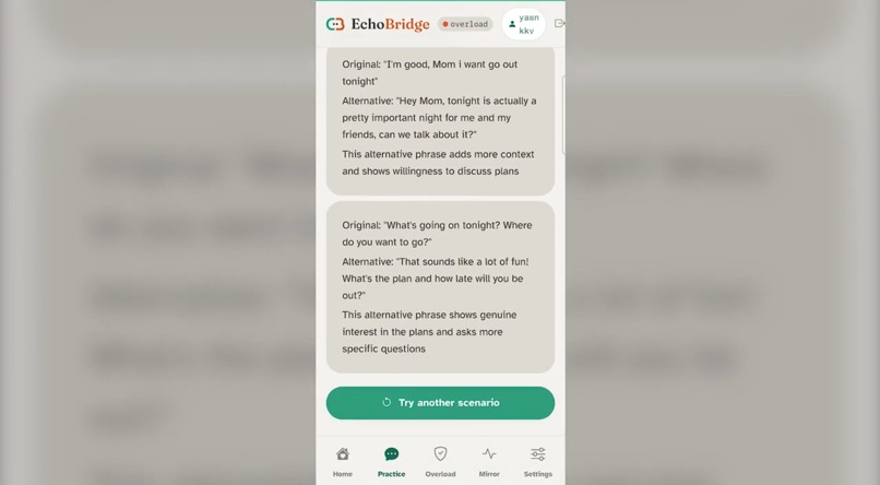 EchoBridge – screenshot 12
