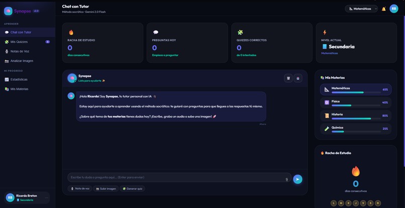Synapse – screenshot 2