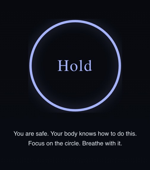 Survival Mode – screenshot 1
