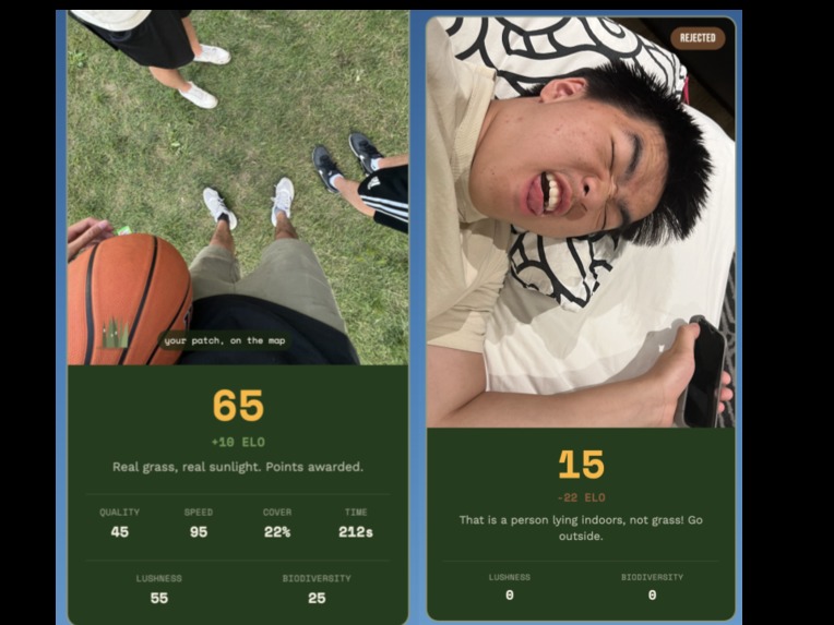 Competitive Grass Touching – screenshot 2