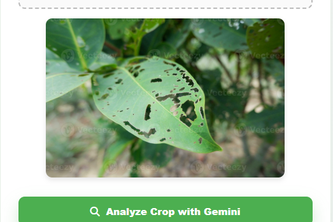 AgriGuard
