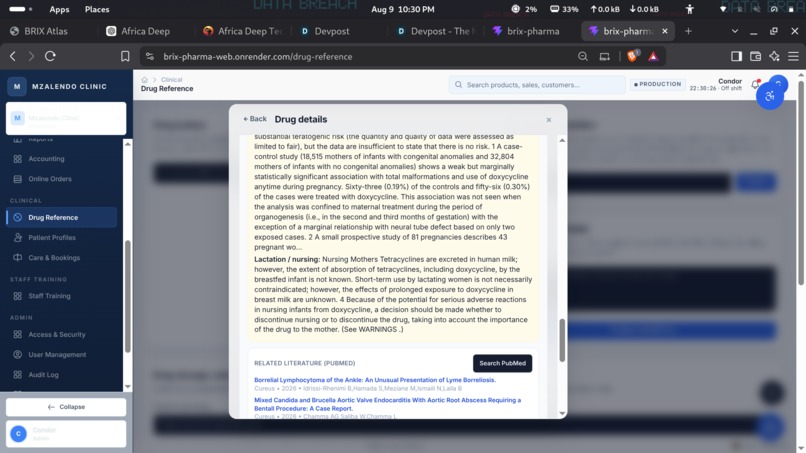 Brix Atlas – screenshot 4