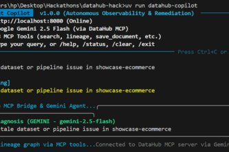 DataHub AI Incident Copilot
