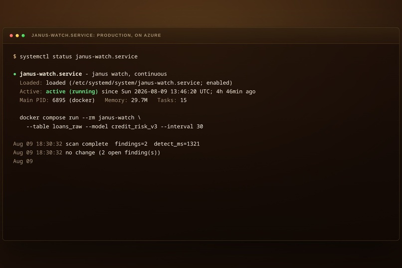 Janus – screenshot 8
