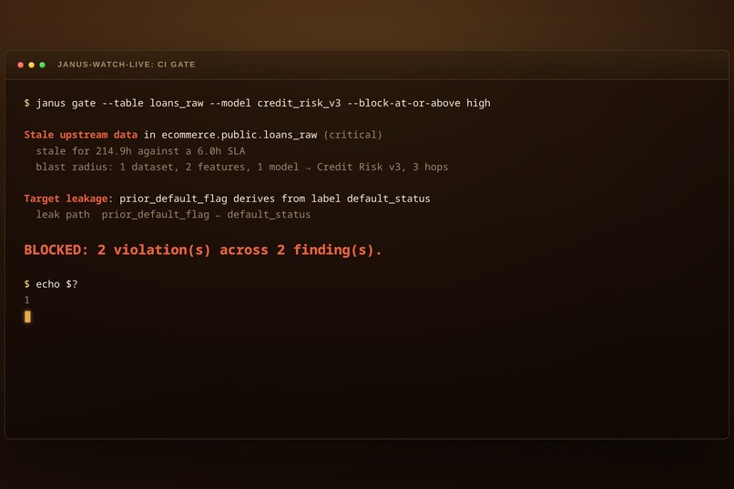 Janus – screenshot 9