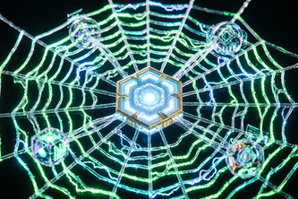 Hexacortex spiderweb datahub hackathon medo dashboard 