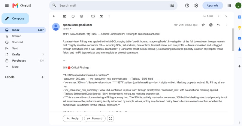Automated PII Classification Agent – screenshot 5