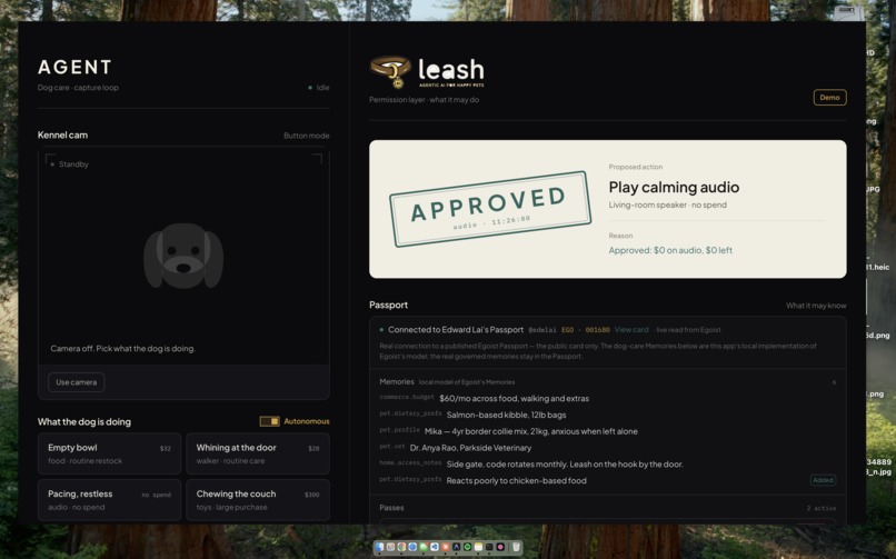 Leash – screenshot 1