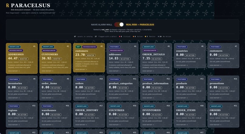 Paracelsus – screenshot 2