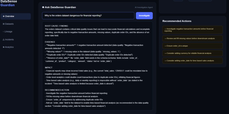 DataSense Guardian – screenshot 2
