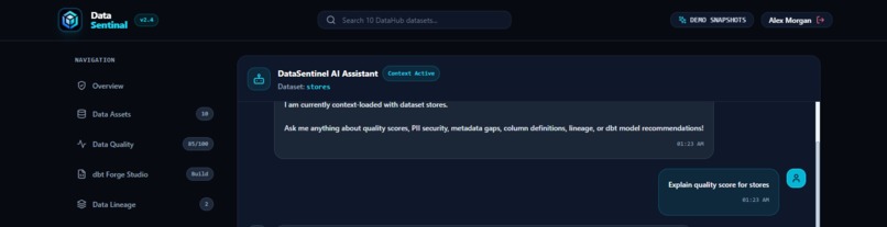 DataSentinal – screenshot 1