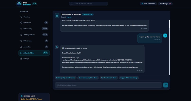 DataSentinal – screenshot 10