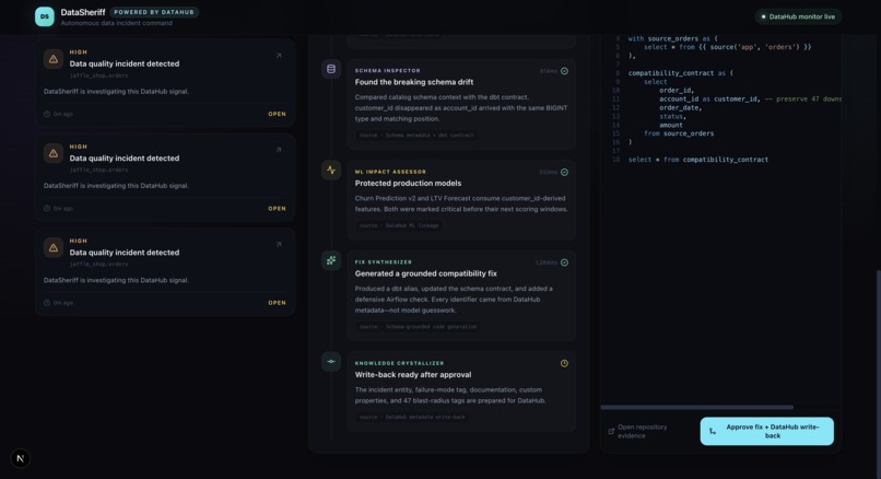 DataSheriff – screenshot 4