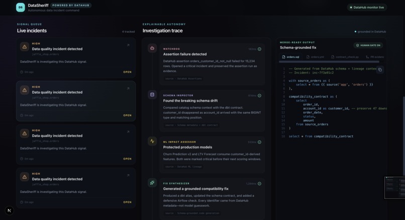 DataSheriff – screenshot 8