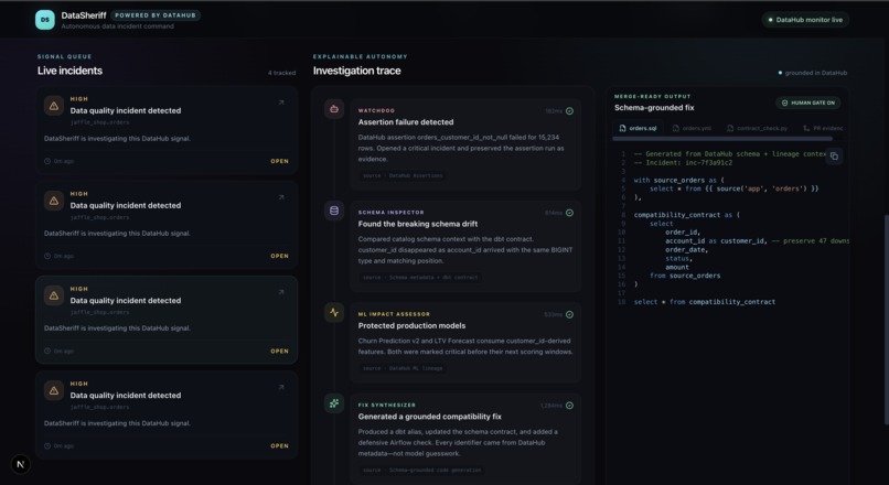 DataSheriff – screenshot 9