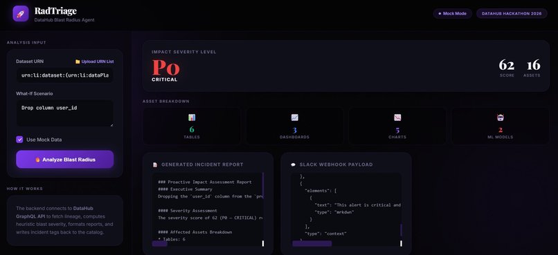 RadTriage – screenshot 2